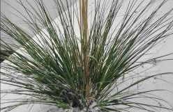 Apartment am Weinberg Kleinaspach - Foto 4