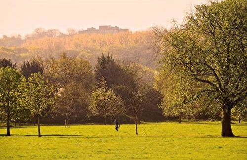 The Nest of Forest Hill - Photo 47