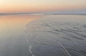 Maison de Bourg en Pierre au cœur de Plouharnel - Foto 17