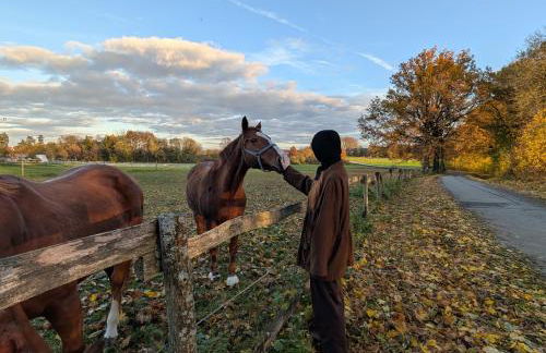 Auszeitoase Freystadt - Park, Billard, Sauna - ideal für Familientreffen und Messe Nürnberg - Foto 46