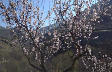 Congidouro - Foto 57