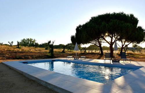 Monte Casa Branca - Foto 6