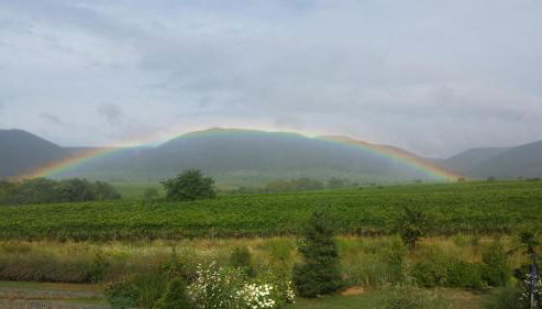 Ferienwohnung Luitpold 21 - Foto 5