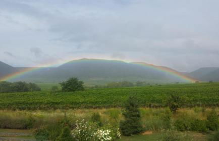 Ferienwohnung Luitpold 21 - Foto 5