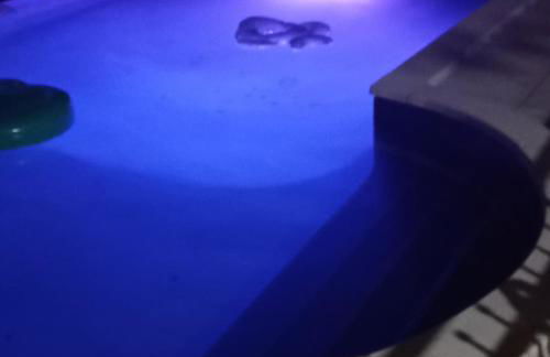 Appart indépendant, 1 lit deux personnes et 1 appoint Piscine Jardin Direct Gare Aéroport et jardin - Foto 28