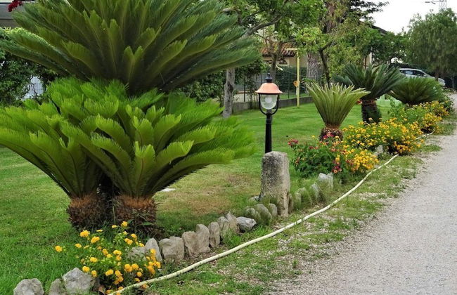 Agriturismo La Lestra - Foto 24