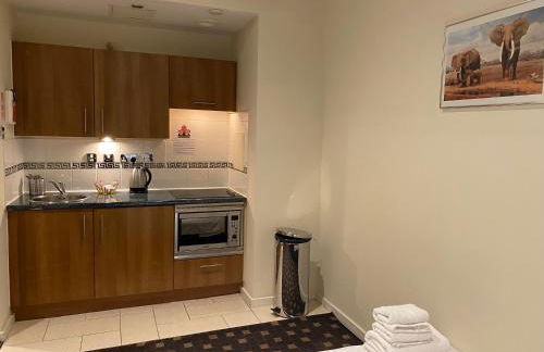 Grand Plaza Serviced Apartments - Foto 136