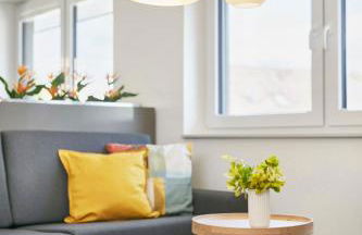 Glücksferien- Sonnenhut - Foto 6