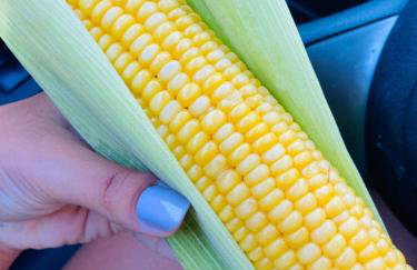 Apartment in catolé 1km do PP - Foto 12