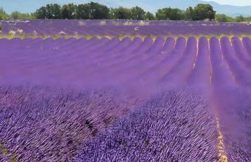 Sous Le Tilleul - 3 personnes - Foto 10