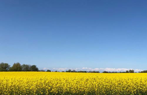 Reethus Linda - Foto 13