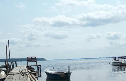 Fischstübchen Neeberg Apt 1 – Wald und Wiese - Foto 30