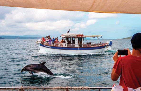 Giro in barca nel Golfo di Arta - Foto 2