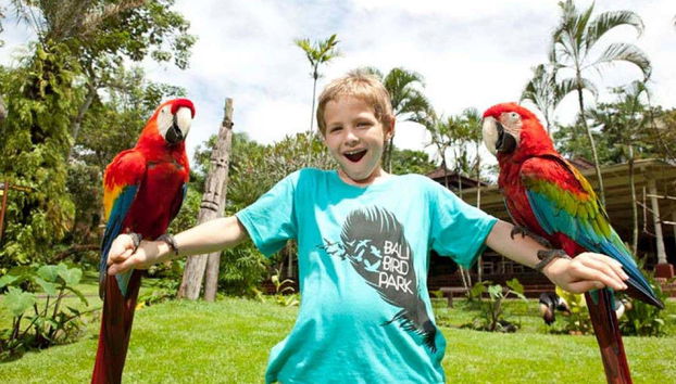 Bali Bird Park Ticket - Foto 4