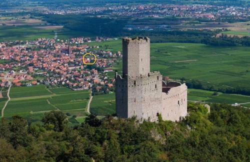 Gite Au sauna de l’Aubach - Foto 35