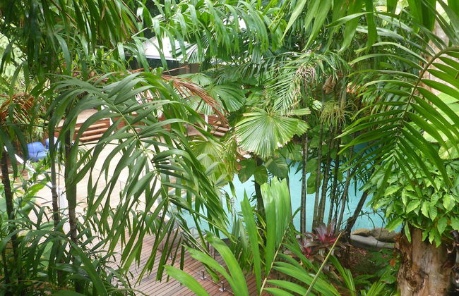 Palm Cove Tropic Apartments - Foto 21