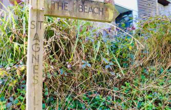 Little Peterville - Foto 15