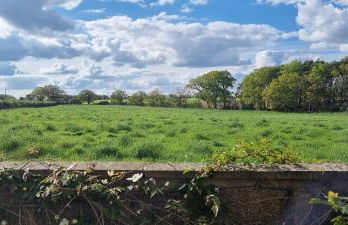 Begonia Cottage - Foto 33