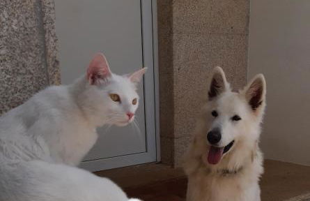 Casa das Lagoas - Foto 39