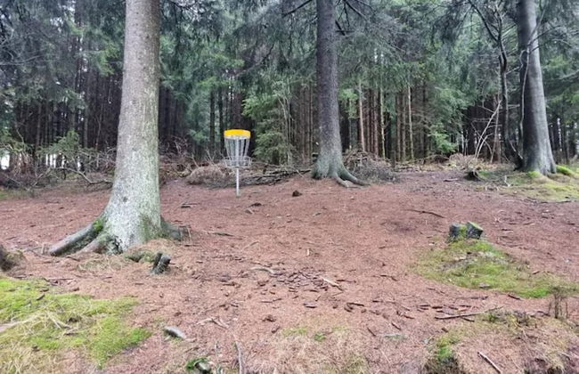 Gemutliches Apartment in Winterberg mit Balkon - Foto 43