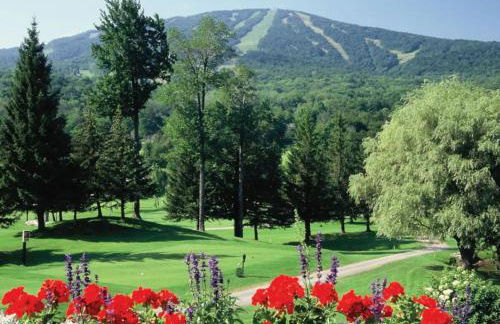 Mount Snow Best View - Sauna - HotTub - Pool - Fireplace - Foto 32