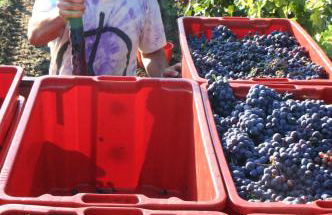 Agriturismo La Pietriccia - Foto 114