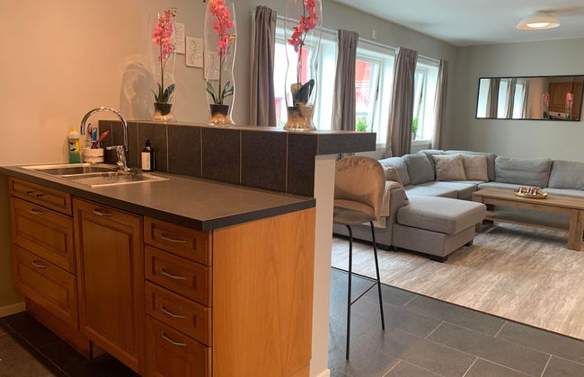 Notodden Sentrum Apartment NO 8 - Photo 11