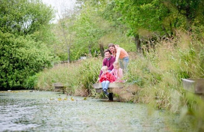 Trelawne Manor Holiday Park - Foto 22