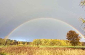 Apartment in Sehlen - Insel Rügen 3075 - Foto 27