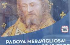 Mirella's House - Photo 24