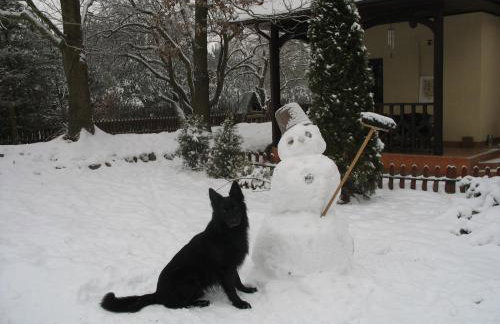 Lisi Dwór - Foto 28