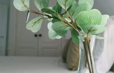 Apartamento Verdemare - Photo 27