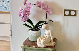 Coural' Chic - Foto 19