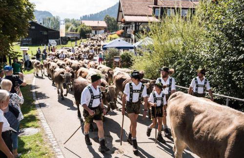 Ferienwohnung Socher "Am Wold" - Foto 9