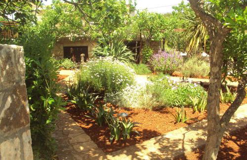 Apartments Basina - Foto 64