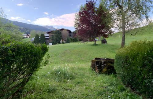 Appt de montagne Araches - Photo 3