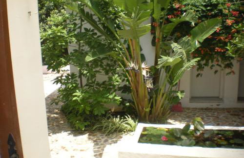 Manolis' House - Foto 30