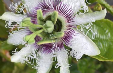 Apartment Torrecilla - Foto 37