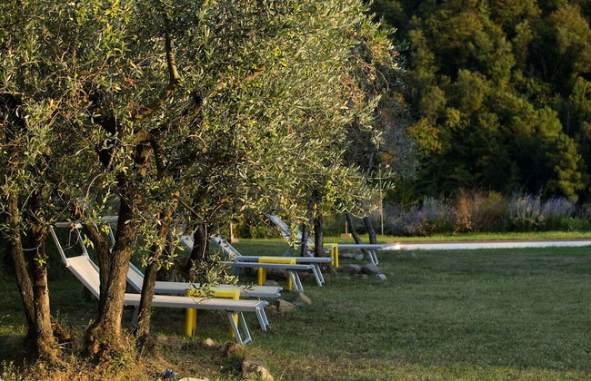 Agriturismo Il Bellini - Foto 51