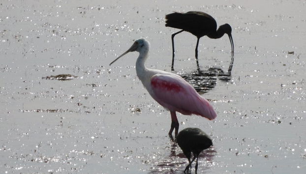 Comodidade do alojamento