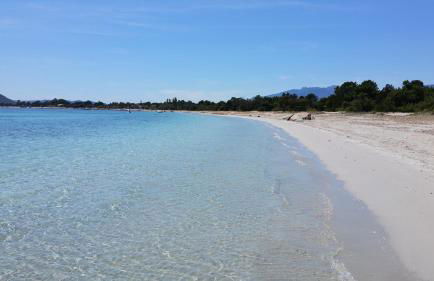 Les Studios de Fiori - Studios et Appartement T2 - Cala Rossa - proche Porto Vecchio - Foto 43