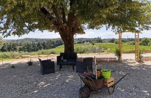 Mas du Tilleul - Foto 14