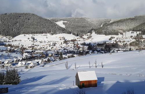 Ferienhaus Seefried - Foto 21