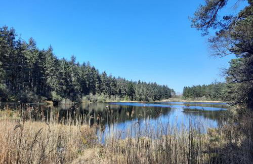 Springfield - Foto 22