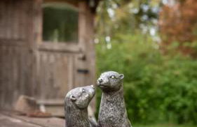 Otter Camp Private Riverside Glamping with Hot Tub - Foto 34