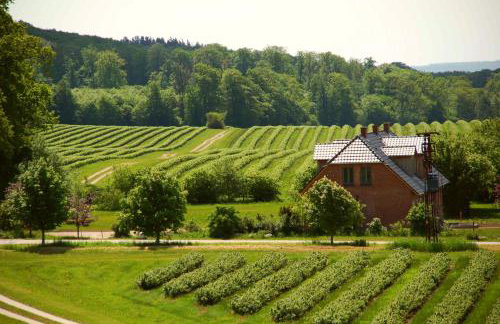 Forsthof Niendorf - Foto 5