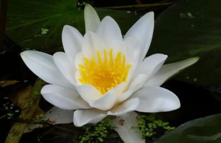 Ferienwohnungen Dirk Laurisch - Foto 10