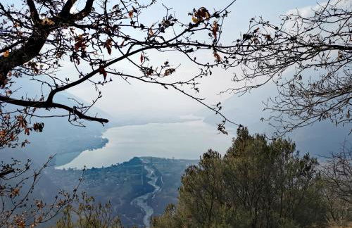 Ale's House - Foto 21