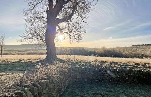 The Haining - Foto 31