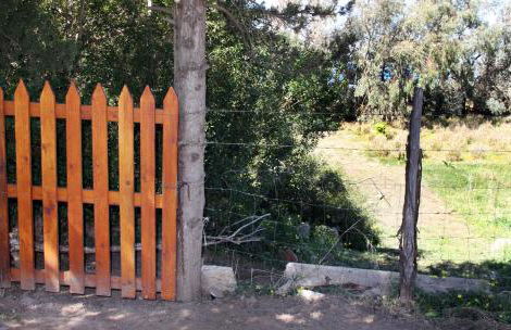 Tenuta Piana 2 con accesso diretto al mare - Foto 21